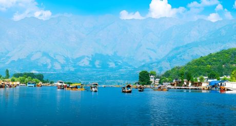 Springtime Bliss in Kashmir