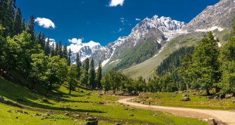 Romantic Kashmir Getaway