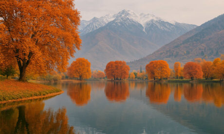 Autumn Hues – Golden Kashmir Tour